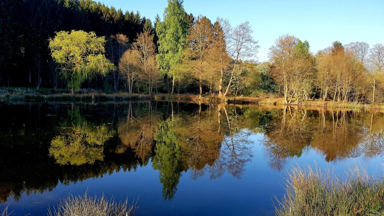 Les Etangs Du Thioux Guest House Малмеди Екстериор снимка